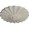 Ekena Millwork Shakuras Ceiling Medallion (Fits Canopies up to 1 3/8"), 9"OD x 1 3/8"P, Pot of Cream Crackle CM09SHPCC - alternate 5